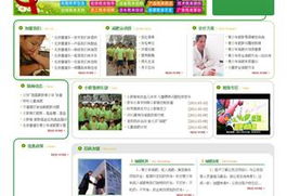 沈阳网站建设与设计 打造专业在线形象，驱动企业数字增长