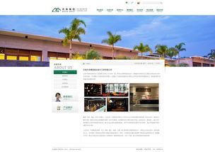 奥远科技 木森集团官方网站建设专家，深耕云南与昆明的网络服务